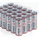 Slammers Energy Drink (24x0,25l Dosen)