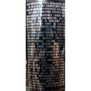 Monster Energy Drink Ripper 48 x 0,5l Dose XXL-Paket