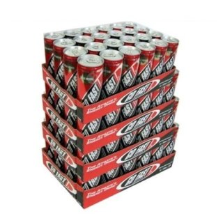 Go Fast Energy Drink 96 x 0,25l Dose  XXL-Paket