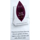 Pickwick Leafs Golden Darjeeling Pyraminden-Teebeutel 24 Beutel á 2g einzeln verpackt