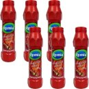 Remia Gewürz-Sauce Schaschlik Sauce 6 x 750ml...
