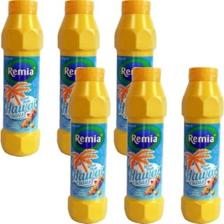 Remia Gewürz-Sauce Hawai Saus 6 x 750ml (mit Ananas)