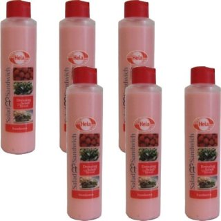 Hela Himbeer-Sauce Frambozen 6 x 800ml (Himbeeren)