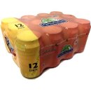 Fernandes Pink Melon 12 x 0,33l Dose von Coca Cola (Melone)