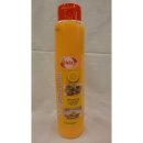 Hela Salad & Sandwich Dressing Sinaasappel 1 Flasche...