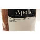 Apollo Gewürzmischung Herbs & Spices Chilliepoeder USA 500g Dose (gemahlene Chillies aus USA)