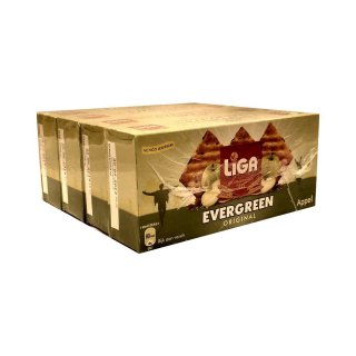 Liga Evergreen Original Appel, 4 x 250g Packung (Vollkornsnack mit Apfel)
