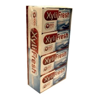 XyliFresh Peppermint Kaugummi 24 x 12 Stck. Packung (Zuckerfrei, 100% Xylitol)