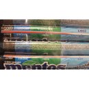 Mentos Mintensity Kaudragees 40 x 37,5g Packung (4 Fach...