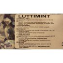 Lutti Mint 3000g Beutel (Pfefferminz Bonbons)