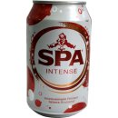 SPA Mineralwasser (24x0,33l Dose)