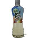 DubbelFrisss appel & perzik 12 x 0,5l PET-Flasche (Apfel & Pfirsich)