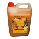 Prominent Siroop Multivruchten 5l Kanister (Getränke-Sirup, Fruchtmischung)