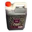 Prominent Siroop Cassis 5l Kanister (Getränke-Sirup,...