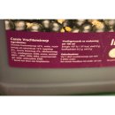 Prominent Siroop Cassis 5l Kanister (Getränke-Sirup,...