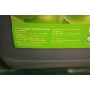 Prominent Siroop Reine Claude 5l Kanister (Getränke-Sirup, Edel-Pflaume)