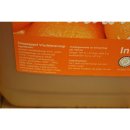 Prominent Siroop Sinaasappel 5l Kanister (Getränke-Sirup, Orange)