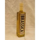 Brassica Koolzaadolie Culinair 500ml Flasche (Rapsöl mit feinem Buttergeschmack)