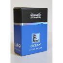 Wilkinson Sword After Shave Ocean (100ml Flasche)