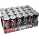 Go Fast Energy Drink 24 x 0,25l Dose