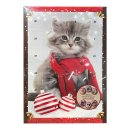 Adventskalender Katzenfreund, 120g einzeln verpackte...