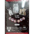 Adventskalender Katzenfreund, 120g einzeln verpackte...