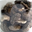 Sabarot Shiitake 30g Glas (japanische Speisepilze)