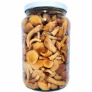 Grand Gérard Stokzwammetjes Nameko (1550g Glas)