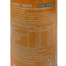 Mirinda Orange (24x0,33l Dosen) GER