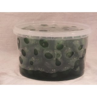 Hocorn Cassata 6x6 500g Dose (Kandierte Früchte)