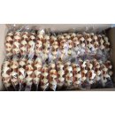 Lotus Suzy Gaufres de Liège aux perles de Sucre 30 x 50g Packung (Lütticher Waffel mit Zucker)