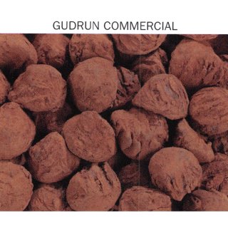 Gudrun Truffes Cacao circa 250 Stück pro 2 kg Packung (Trüffelcreme in Schokolade gehüllt und mit Kakao bestäubt)