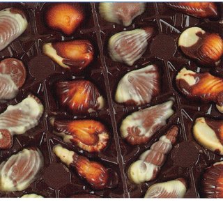 GuyLian Fruits de Mer 1 x 3kg Packung (belgische Schokolade in Muschelform mit Nuss-Nougat-Füllung)