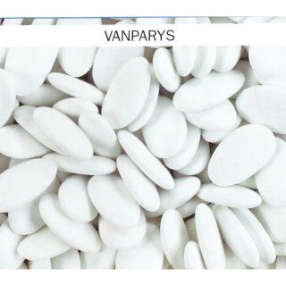 Vanparys Surfines Dragees Blanches 1 x 1kg Packung (weißes, linsenförmiges Dragée)