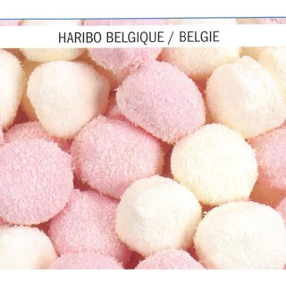 Haribo Chamallows Lards Boules Coco 1 x 1 kg Packung (Schaumzucker-Marshmallows mit Kokosnussraspeln)
