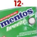 Mentos Gum Chlorophylle 12 x 17,5g Packung...