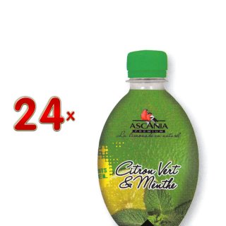 Ascania Limonade Citron Vert et Menthe PET 24 x 330 ml Flasche (Limonade mit dem Geschmack von grüner Minze und Zitrone)
