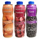 Prominent Siroop TESTPAKET Sinaasappel, Framboos und Cassis (je 1x750ml Getränke Sirup Orange, Himbeere und schwarze Johannisbeere)