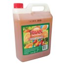 Raak Vruchtensiroop Sinaasappel (5l Kanister Orange)
