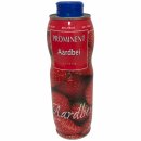 Prominent Siroop Aardbei Getränke-Sirup Erdbeere 3er Pack (3x750ml Dose) + usy Block