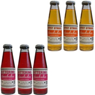 Testpaket Bitterino "3x Gypsy Gynger + 3x Bitterino"