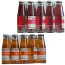 Testpaket Bitterino "20x Gypsy Gynger + 20x...