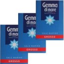 3x Gemma di mare Grosso "grobes Meersalz", 1000 g