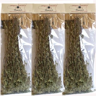3x Ragameli Origano Sevatico ,,Wilder Oregano Strauch", 50 g