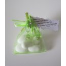 Gastgeschenk Organzasäckchen Taufe Feste Schnuller...