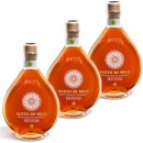 3x Due Vittorie Aceto di Mele "Apfelessig aus...