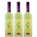 3x Caffo liquore di Finocchietto "Fenchel...