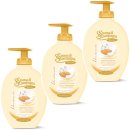 3x Spuma di Sciampagna Seifenspender...