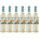 6x Antonio Nadal Sauvignon Blanc "Bicicletas y...