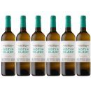 6x Castell del Remei "Gotim Blanc", 750 ml